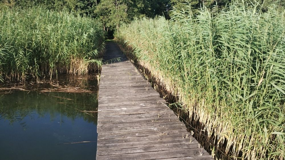 Działka nad jeziorem urszulewskim