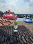 Apartament 4os.k.Chęcin Basen jacuzzi podgrzewany Altana Grill Ognisko