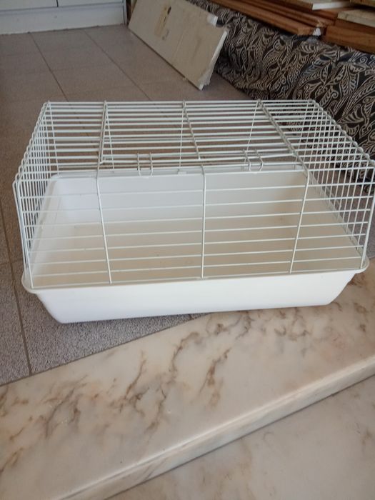 Gaiola de coelho e amester