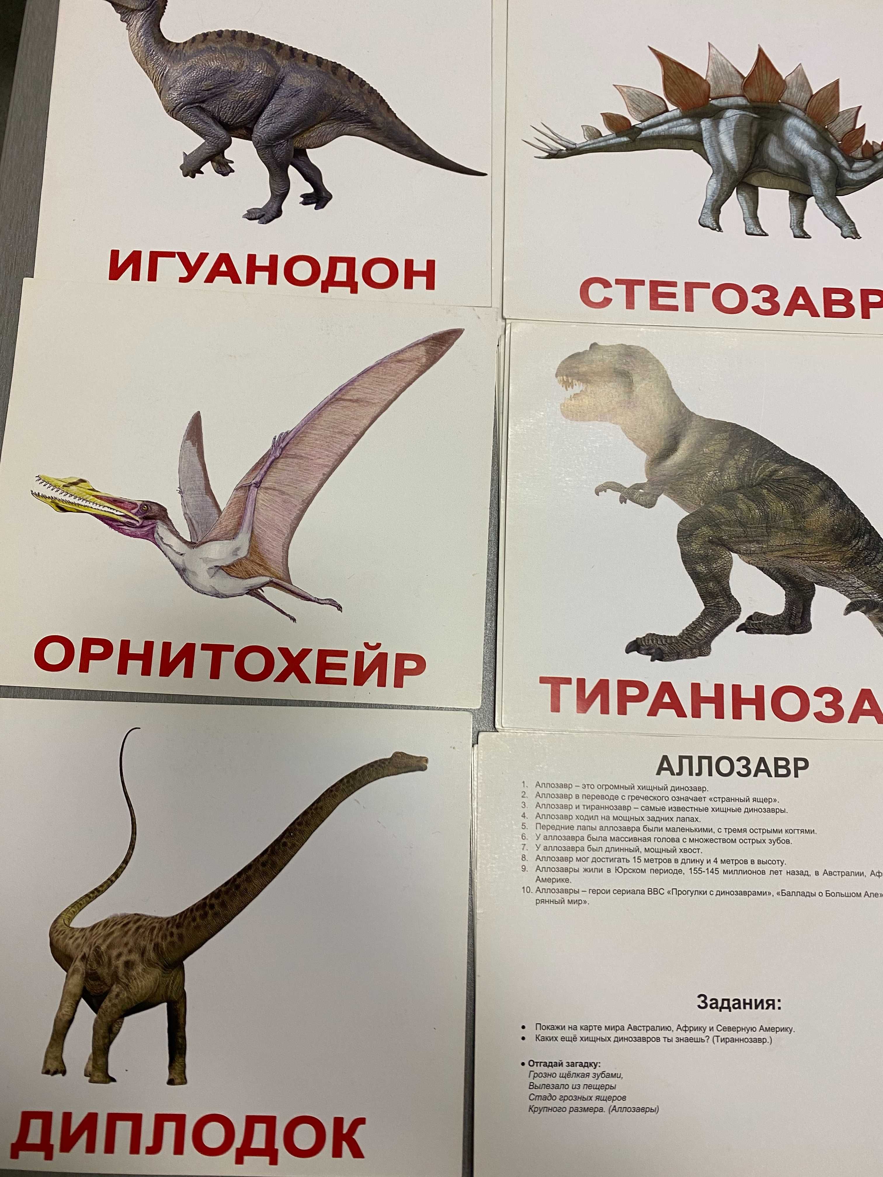 Великі ламіновані картки Домана "ВУНДЕРКІНД З ПЕЛЮШОК” російською