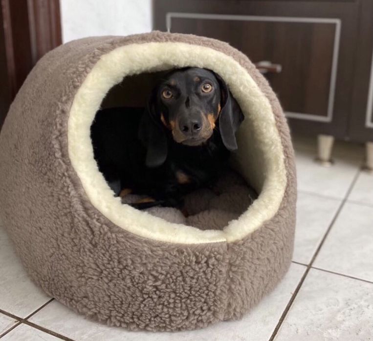 Тепла хутряна хатинка будиночок домик для котика собачки