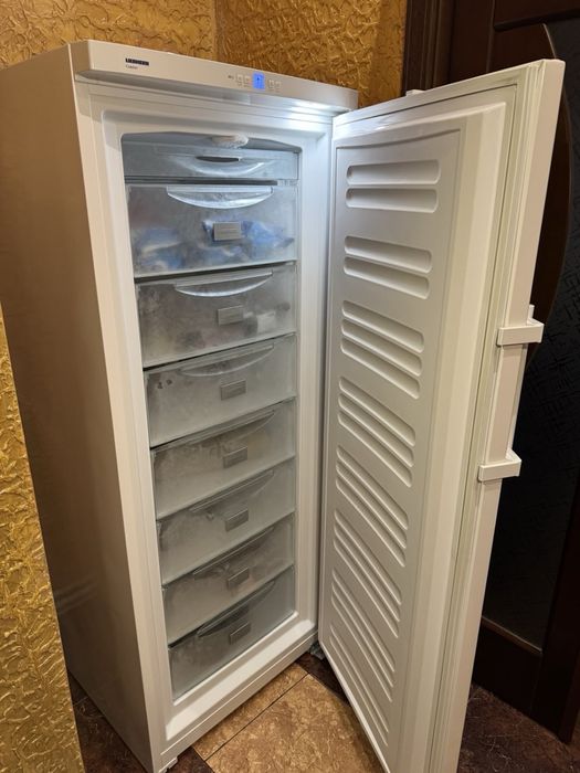 Морозильна шафа Liebherr G3513