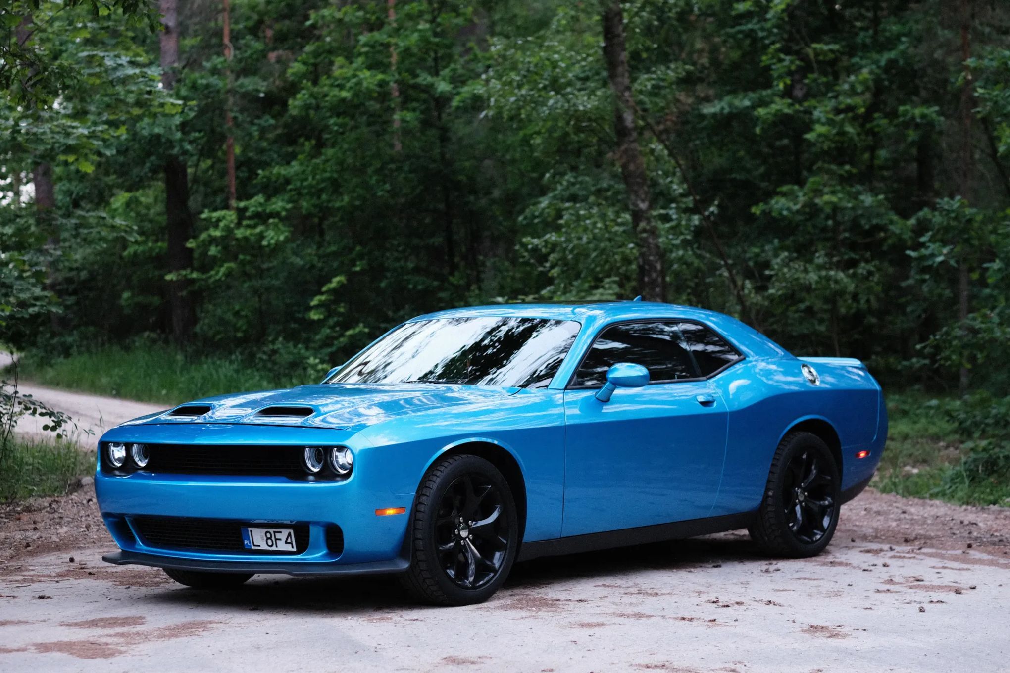Dodge Challenger Dodge Challenger 3.6 SXT PLUS