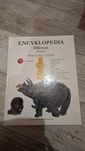 Encyklopedia odkrycia młodych początek ziemi