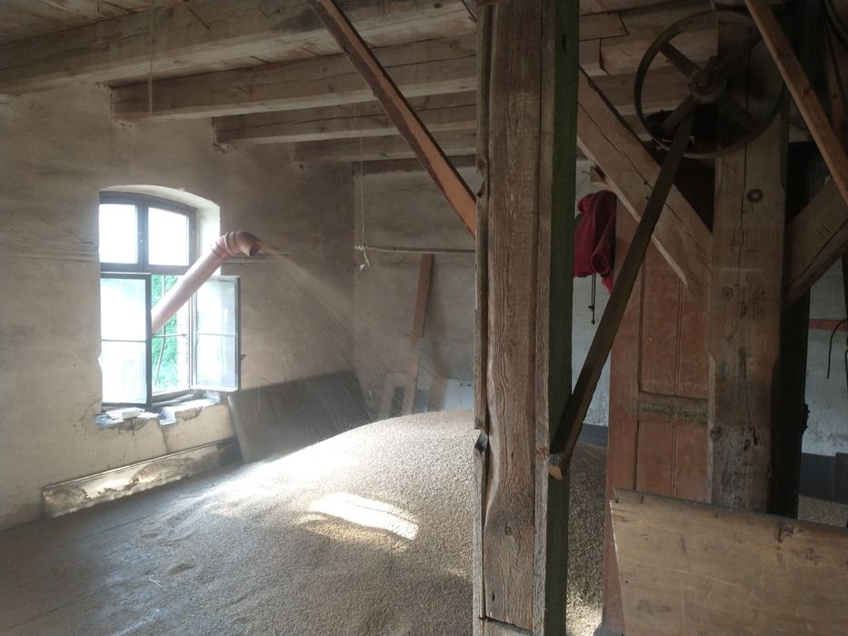 Pszenica workowania po 50 kg