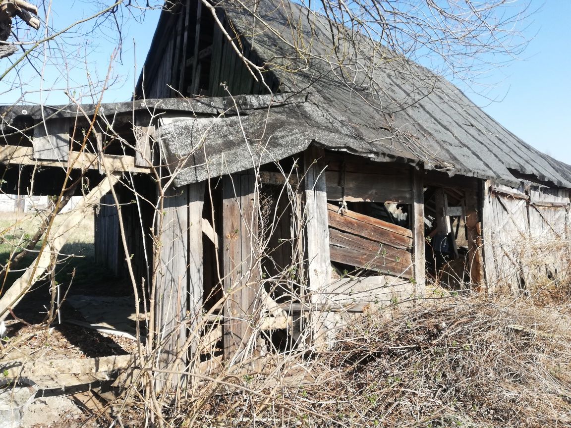 Stara stodoła drewniana do rozbiórki