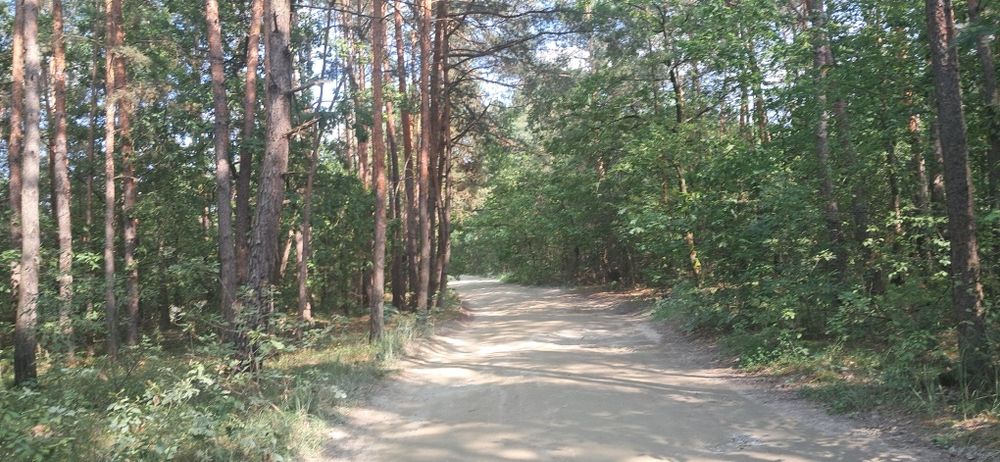 Sprzedam działkę w miejscowości Borów gm. Annopol