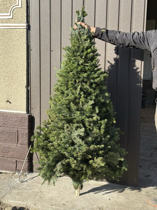 Ялинка плетена ручної робти