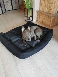 Komfortowe nowe legowisko dla psa dużo rozmiarów i kolorów + gratis