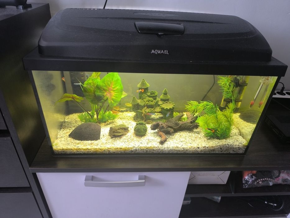 Sprzedam Akwarium 60l z całym zestawem.