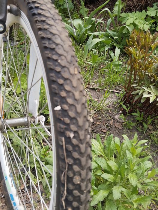 Велосипед подростковый MTB Leader Jasmine 24