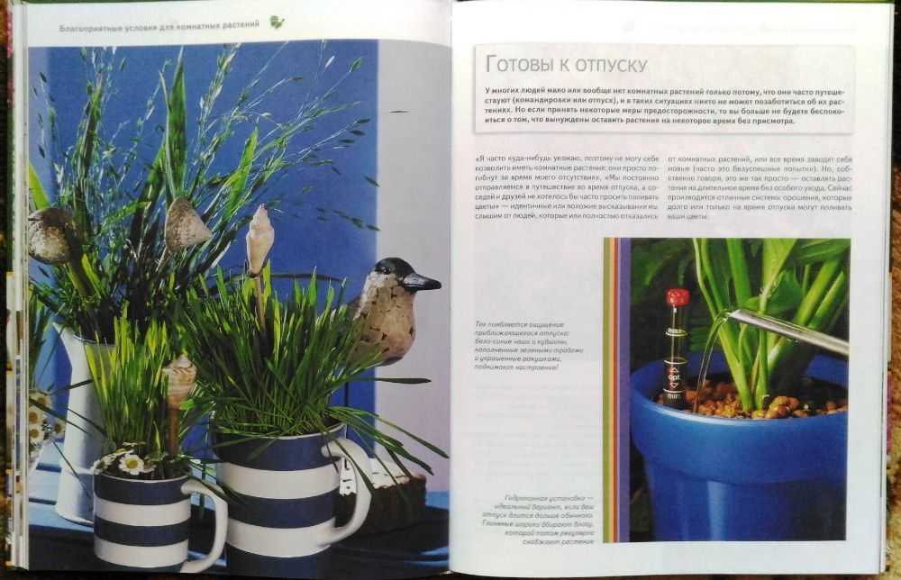 Книга "Все о комнатных растениях"