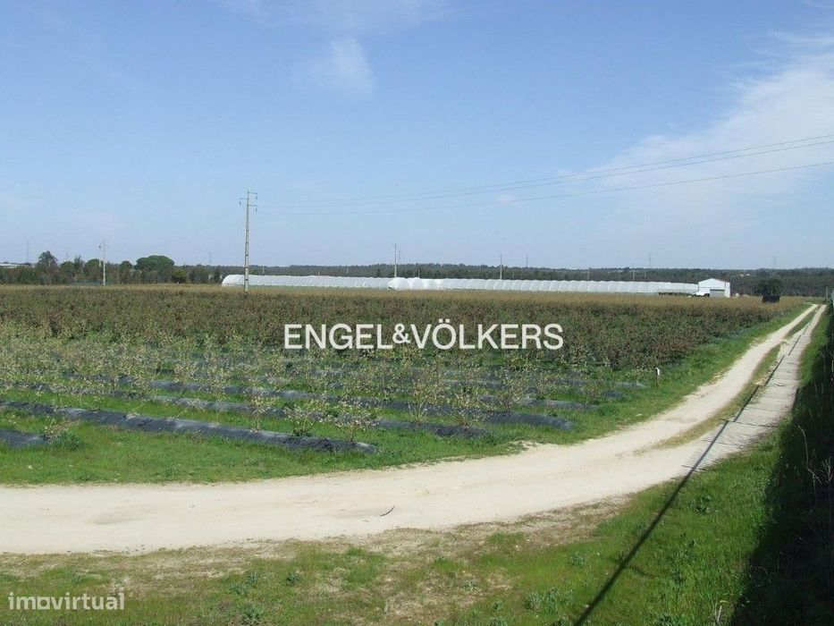 Quinta com 34.000m2 em Canha, Setúbal