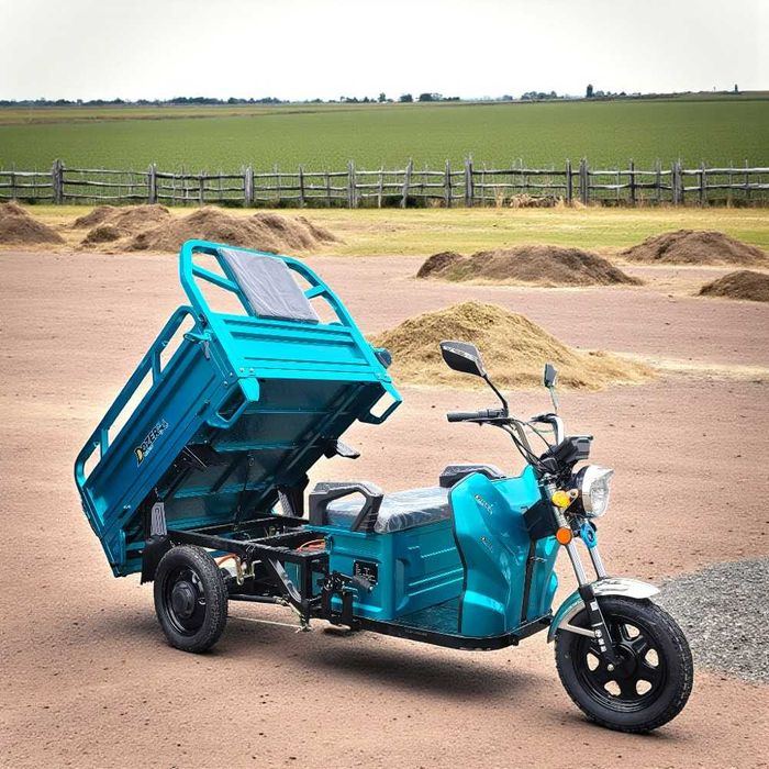 Вантажний електричний трицикл DOZER Model 1