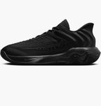 Кросівки Nike Giannis Immortality 4 FQ3680-003 42.5