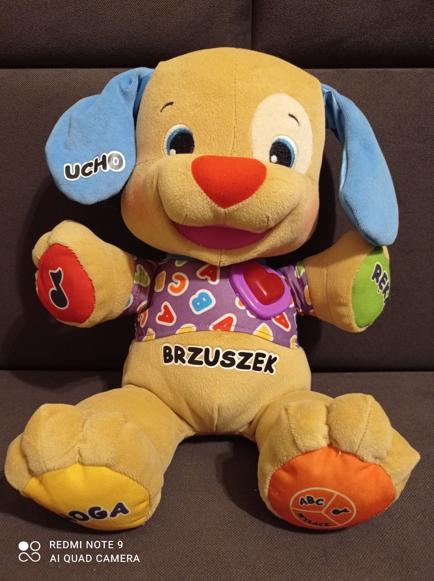 Szczeniaczek uczniaczek Fisher Price