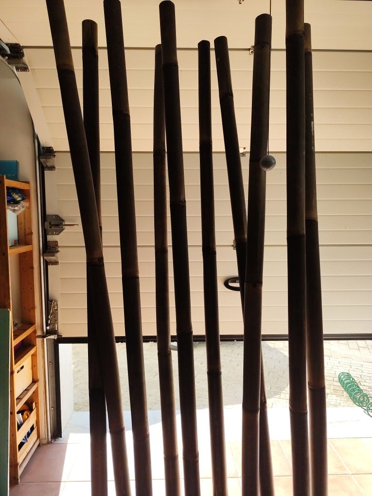 Para decoração - bambo com base