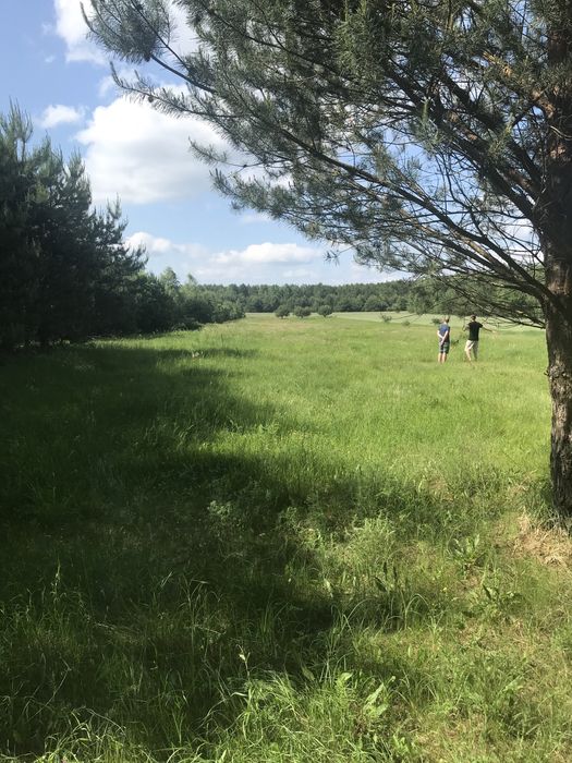 Wajków. Urocza działka nad Bugiem