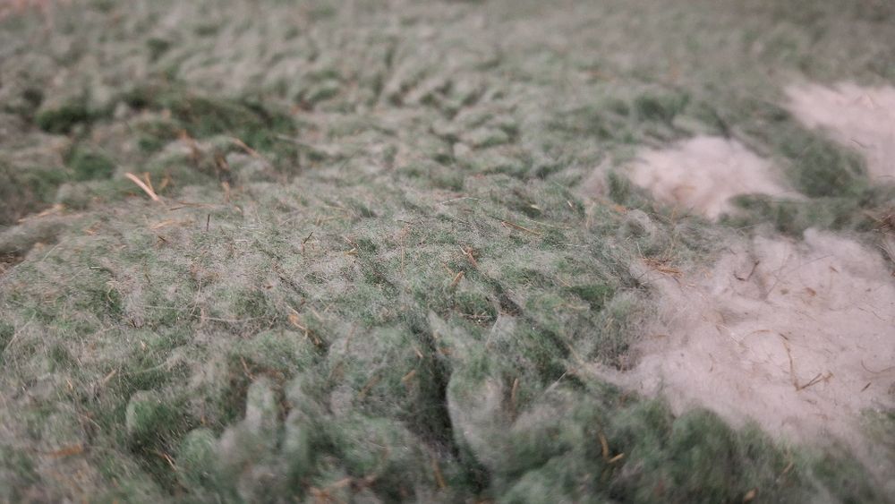 Drybed 5sztuk świnka morska/królik