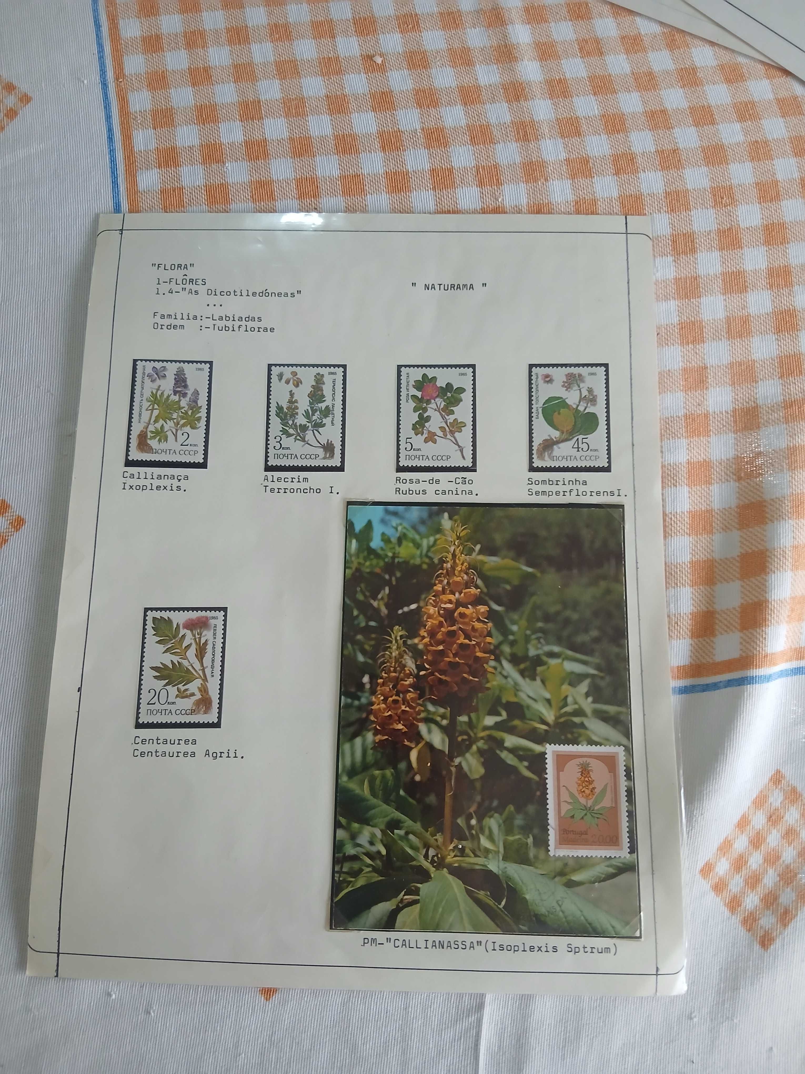 Selos usados e postais antigos