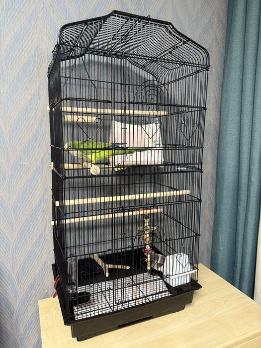 Большая Клетка для попугаев или птиц