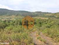 Herdade com 80 hectares com viabiliade de construção de 50% da area...