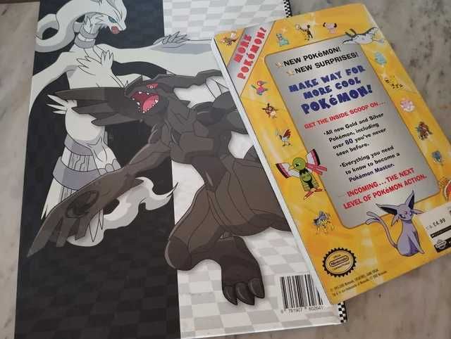 Lote / Conjunto Pokemon