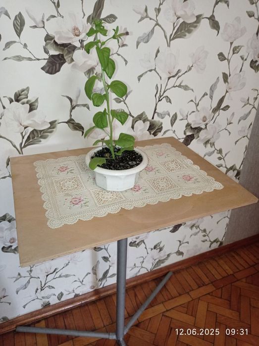 Столик- подставка универсальный