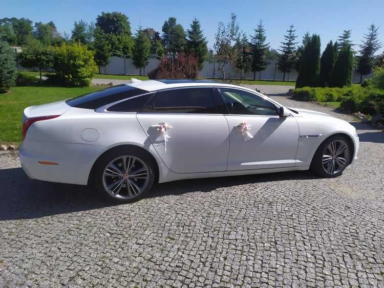 Auto Samochód do Ślubu Wesela 18-stki Jaguar XJL w longu Biały