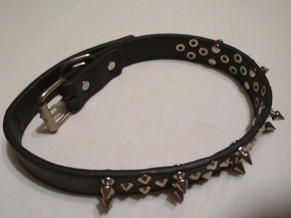 Ошейник для собак бывший в употреблении.