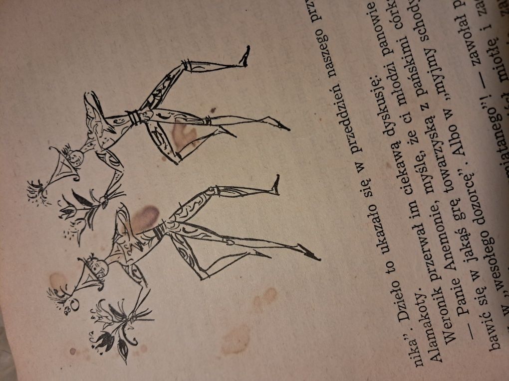 Tryumf Pana Kleksa 1956r