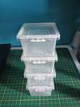 Mini box terrarystyczny