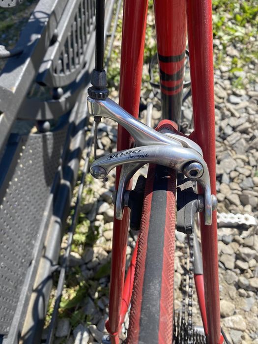 GIANNIMOTTA Назва велосипеда.