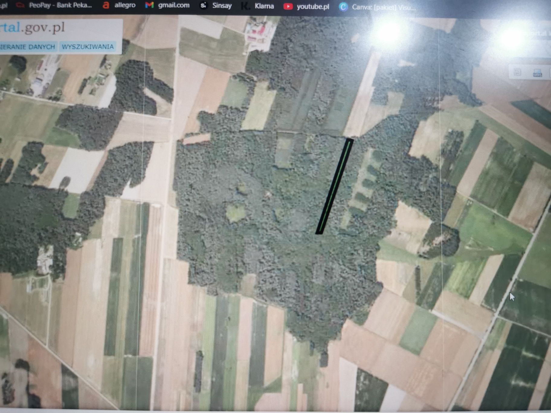 Sprzedam Las  0.94ha, gm. DROHICZYN