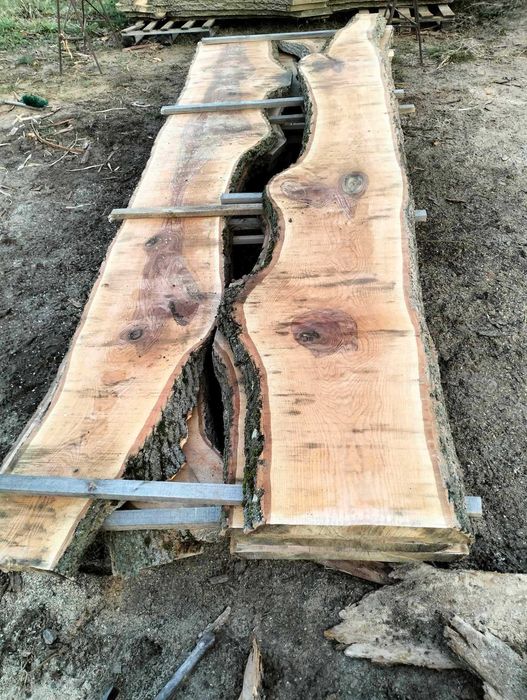 Tarcica dąb jesion wiąz olcha