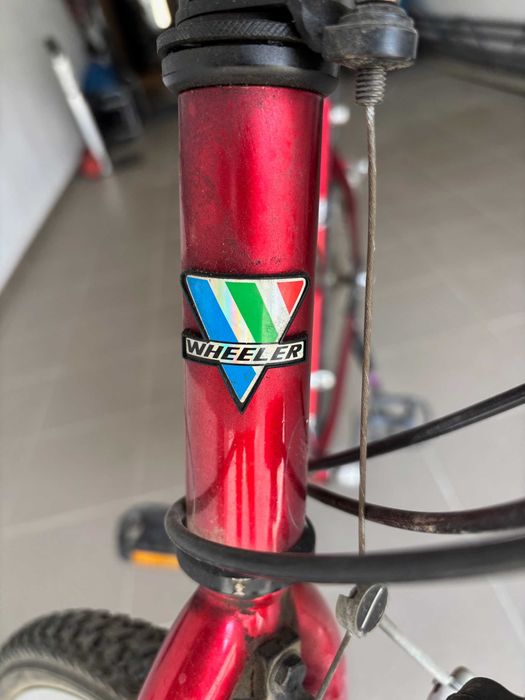 rower damski, górski WHEELER