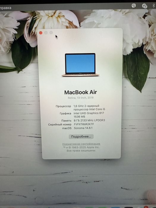 Apple MacBook Air 13  Rose gold