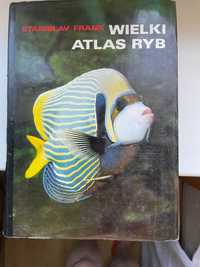 Wielki Atlas Ryb