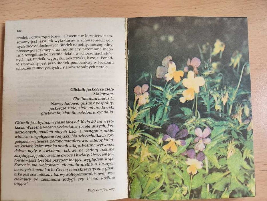 Zioła  K. Mikołajczyk, A. Wierzbicki