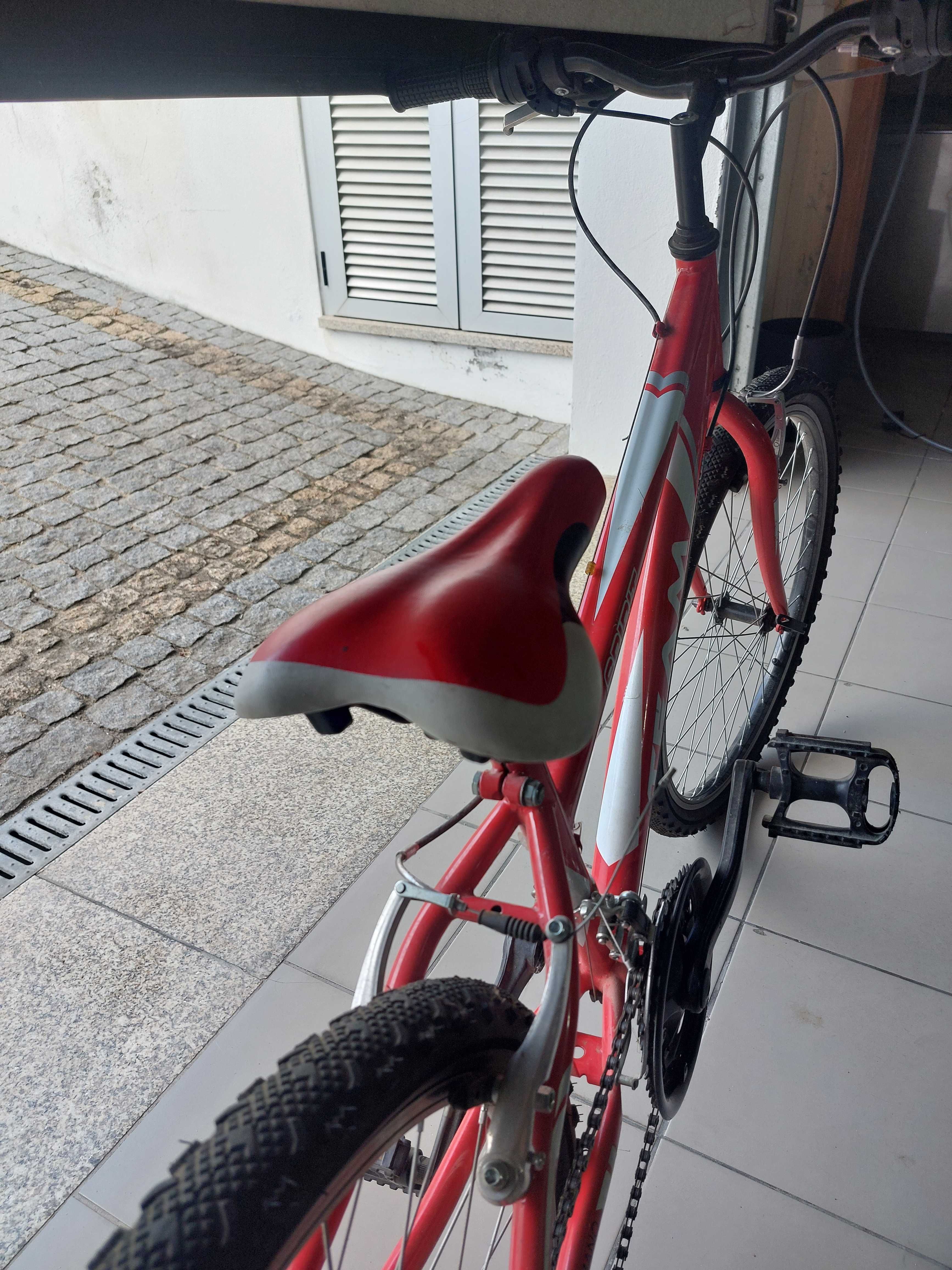 Bicicleta Team Spirirt