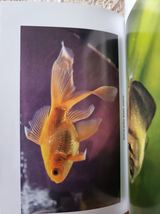 Книга аквариум практическое руководство