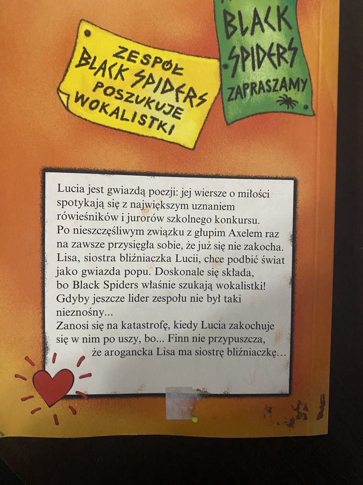 Lisa i Lucia Miłość do kwadratu Angela Gerrits