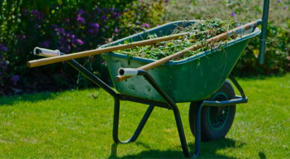 Profesjonalne sprzątanie, czyszczenie działek ,ogrodów