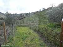 Terreno  para venda