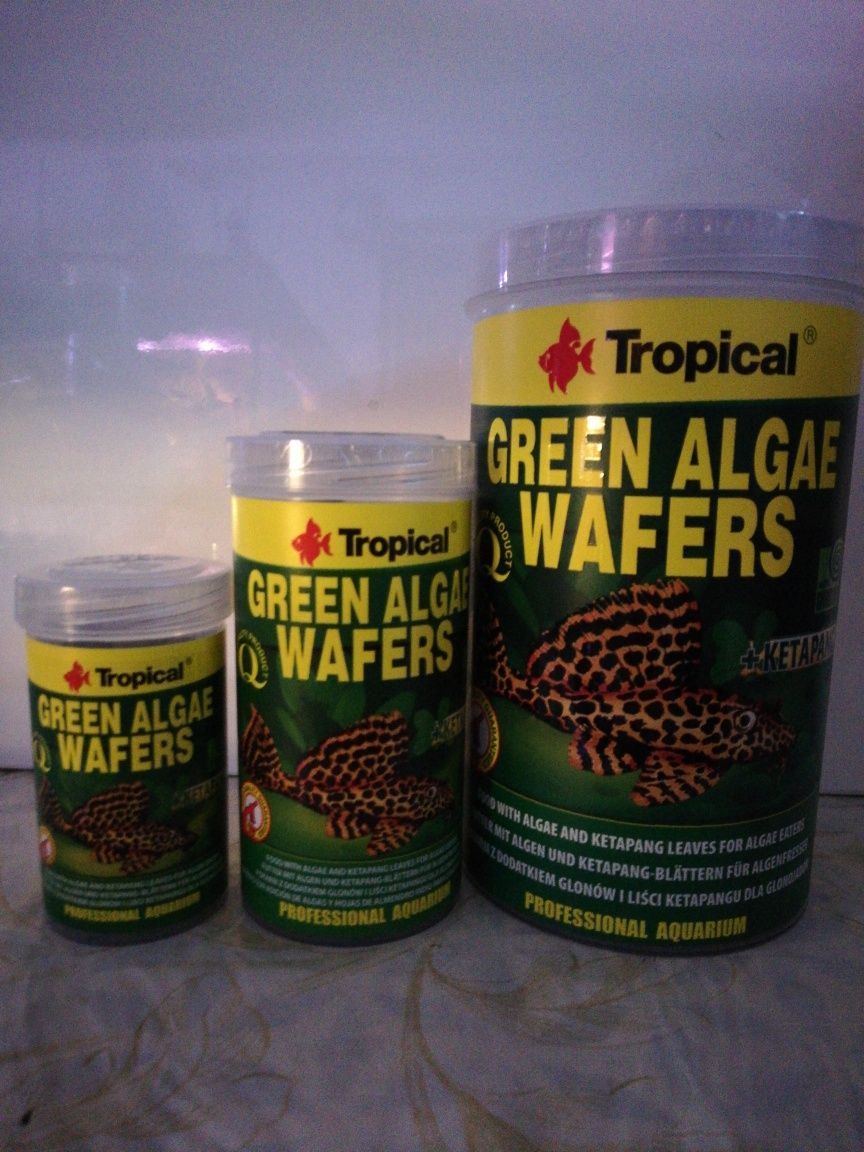 Green algae wafers - sklep SKALAR