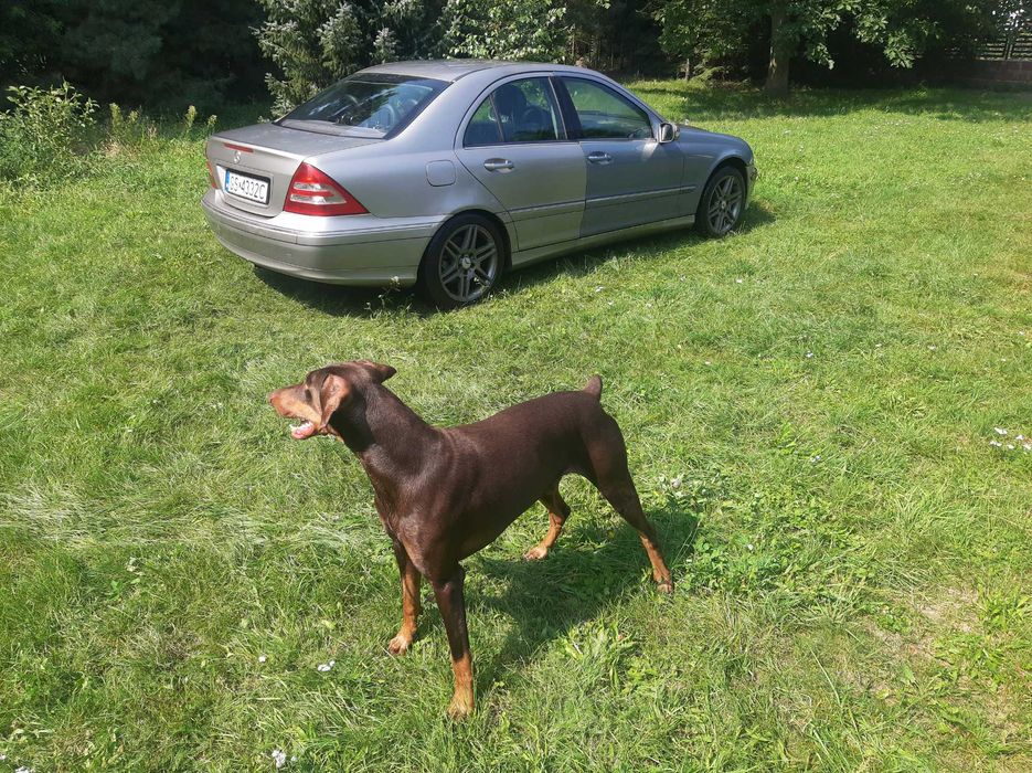 W203 C240 4matic 2005 polift LPG, oryginalne felgi AMG