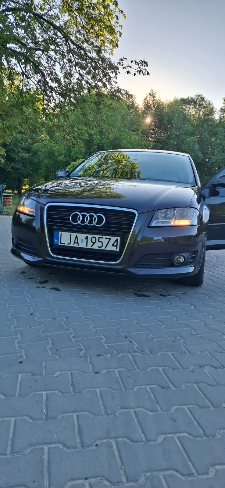 Audi a3 8p 2012r