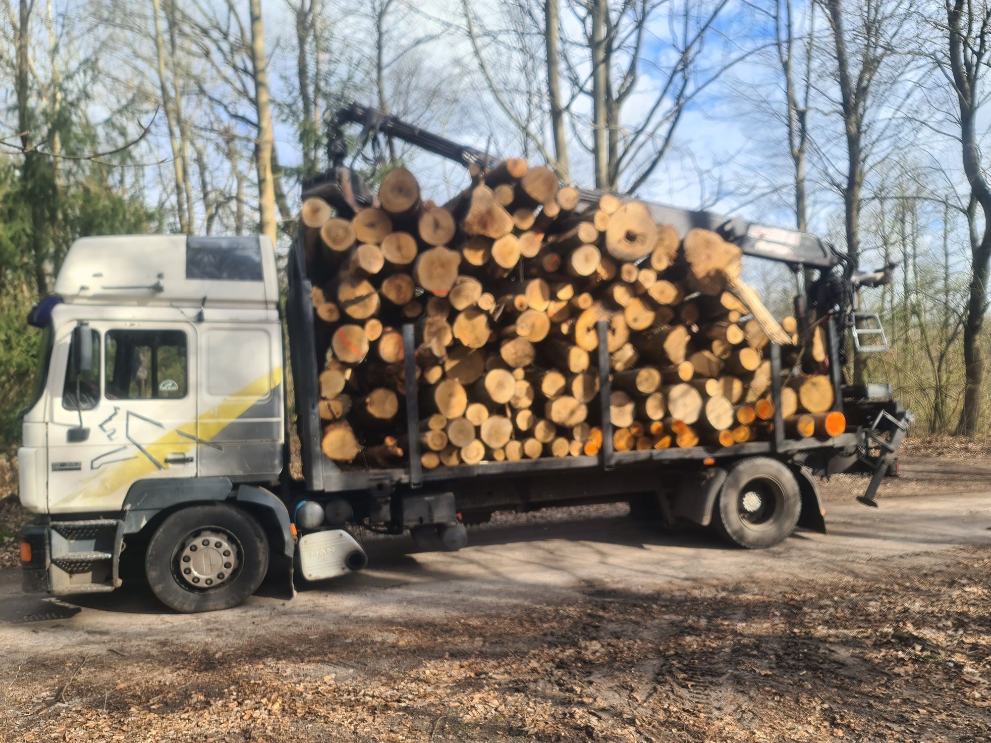 Transport Drewna z Lasu Chodzież Budzyń Margonin