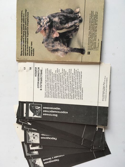 Открытки про кошек