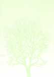 Papier Barwne arkusze A4 Drzewo 47 ark. 100 g